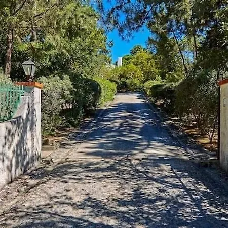 Quinta Da Tranquilidade Farm stay