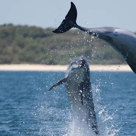 Quinta Da Tranquilidade Alloggio per agriturismo