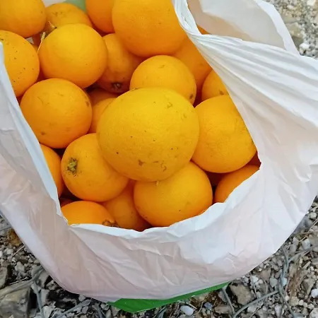 Quinta Da Tranquilidade Alloggio per agriturismo Sesimbra