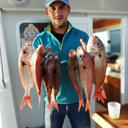 Çiftlik konaklama Quinta Da Tranquilidade *