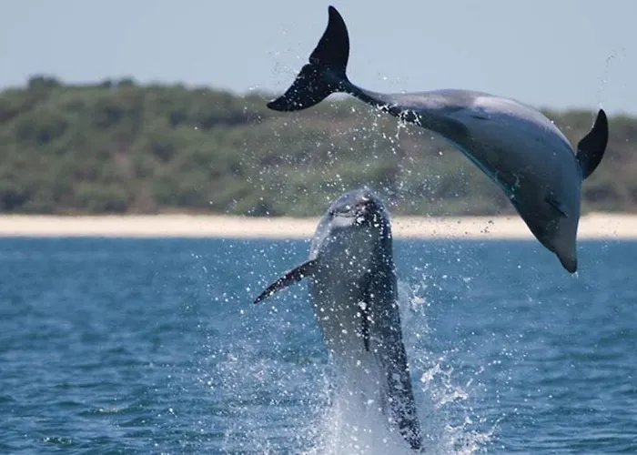 Quinta Da Tranquilidade Farma