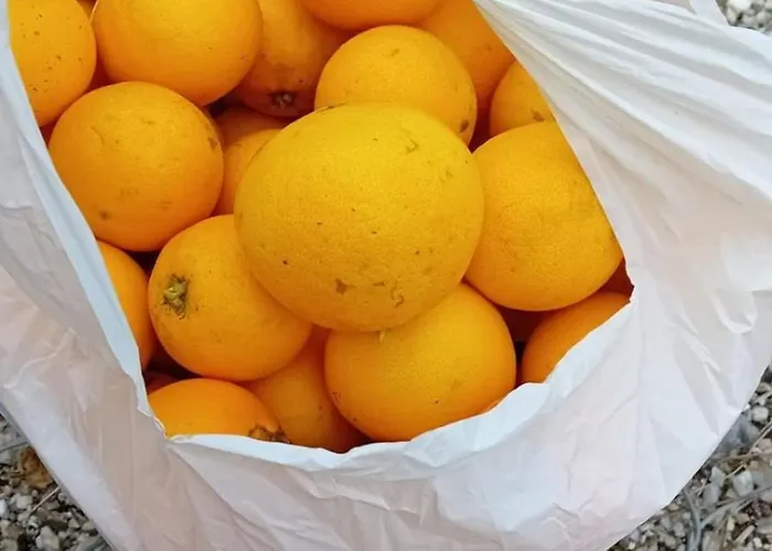 Quinta Da Tranquilidade Farma Sesimbra