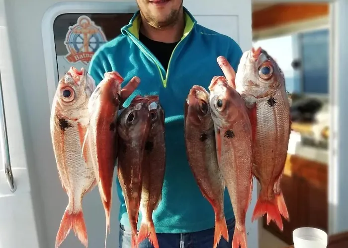 Farma Quinta Da Tranquilidade *